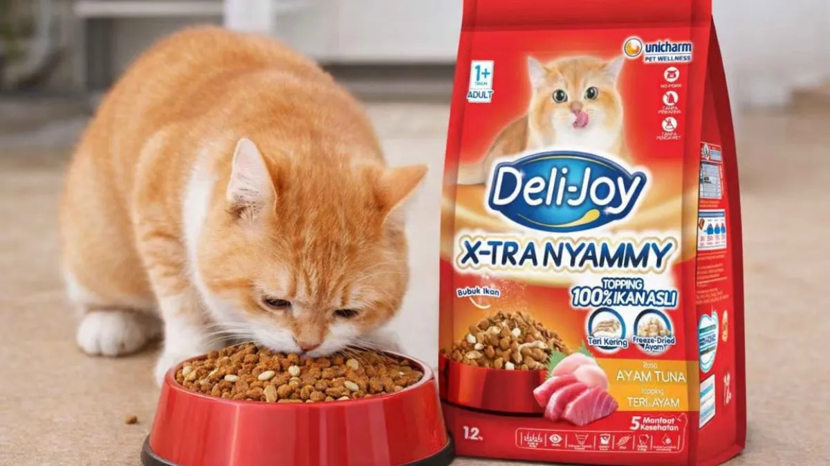 Jangan Asal Pilih! Ini Rekomendasi Dry Food Kucing Bernutrisi Tinggi
